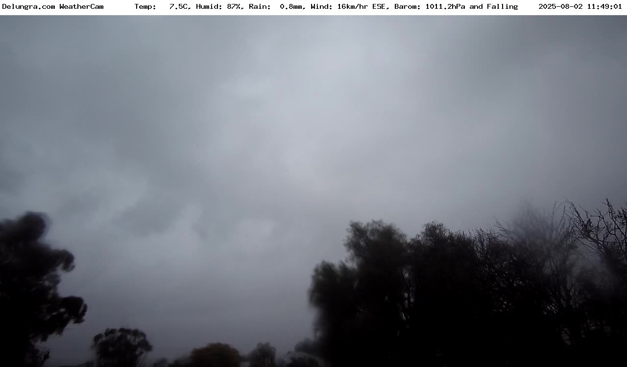 Current webcam image